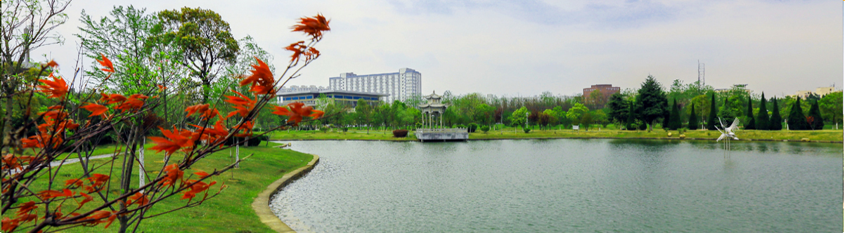 437ccm必赢国际官网