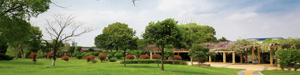 437ccm必赢国际官网